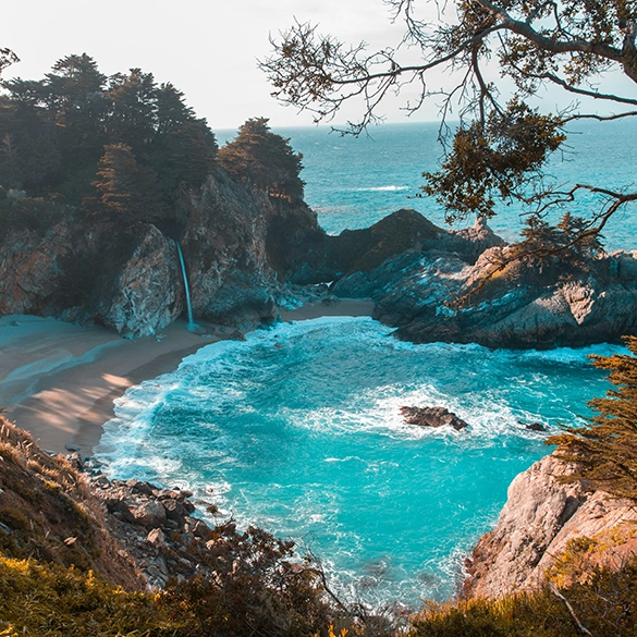 Beach and Ocean Trips